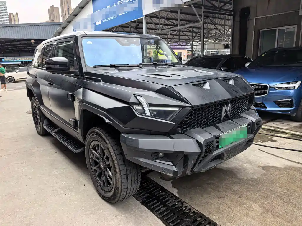 Mengshi Mengshi 917 2024