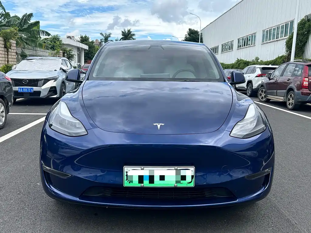 Tesla Model Y — миниатюра 2