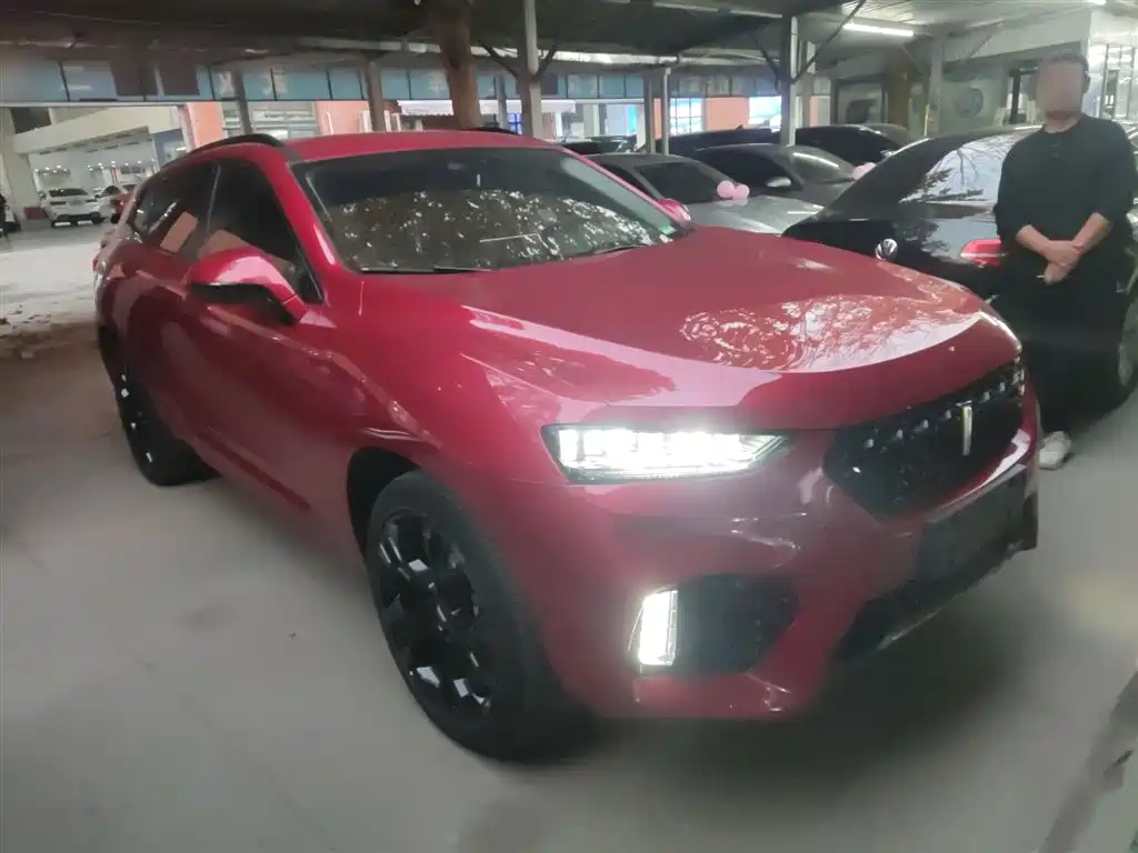 WEI PAI WEI BRAND VV7