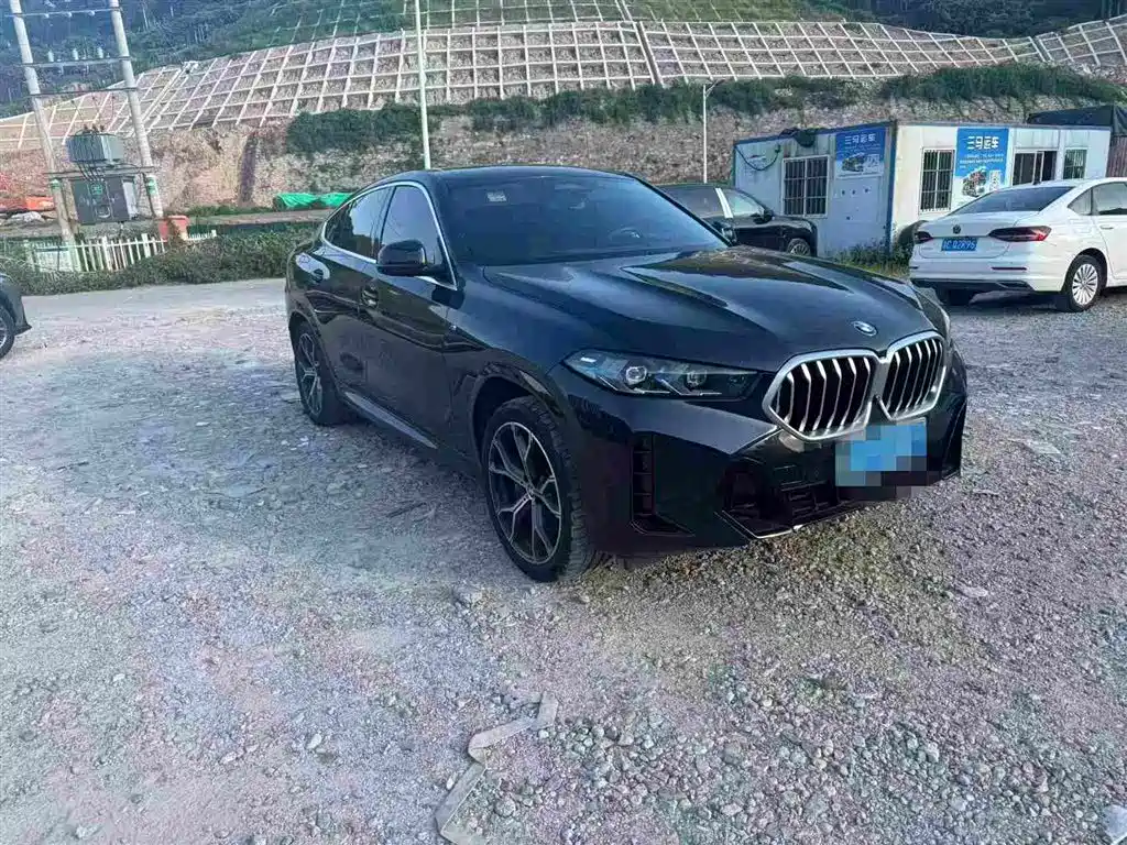 BMW X6 — миниатюра 3