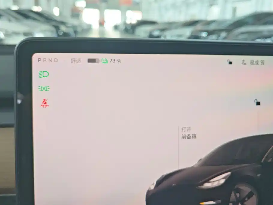 Tesla Model 3 — миниатюра 14