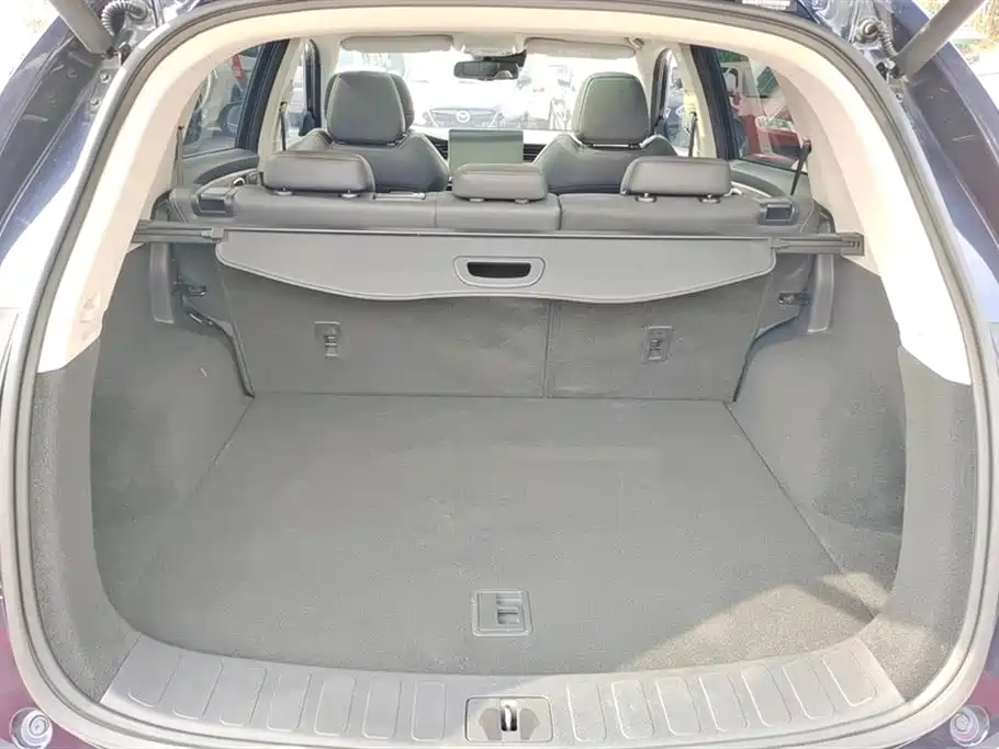 SKYWORTH AUTO SKYWORTH EV6