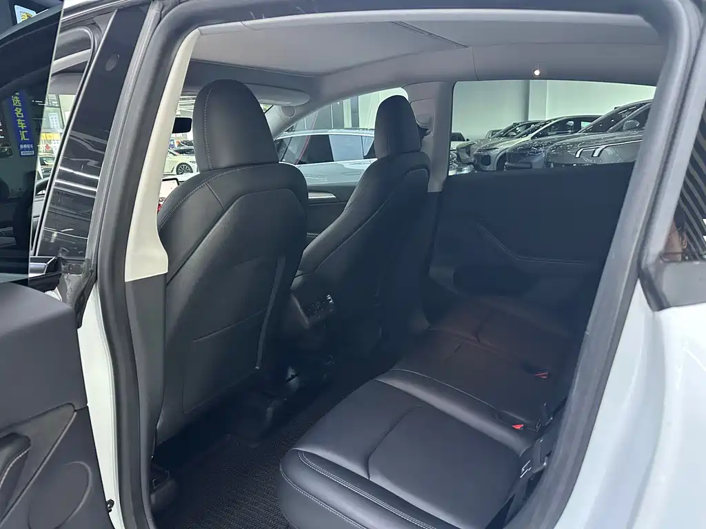 Tesla Model Y — миниатюра 11