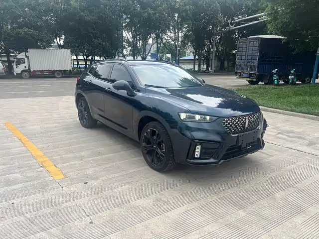 WEY 魏牌