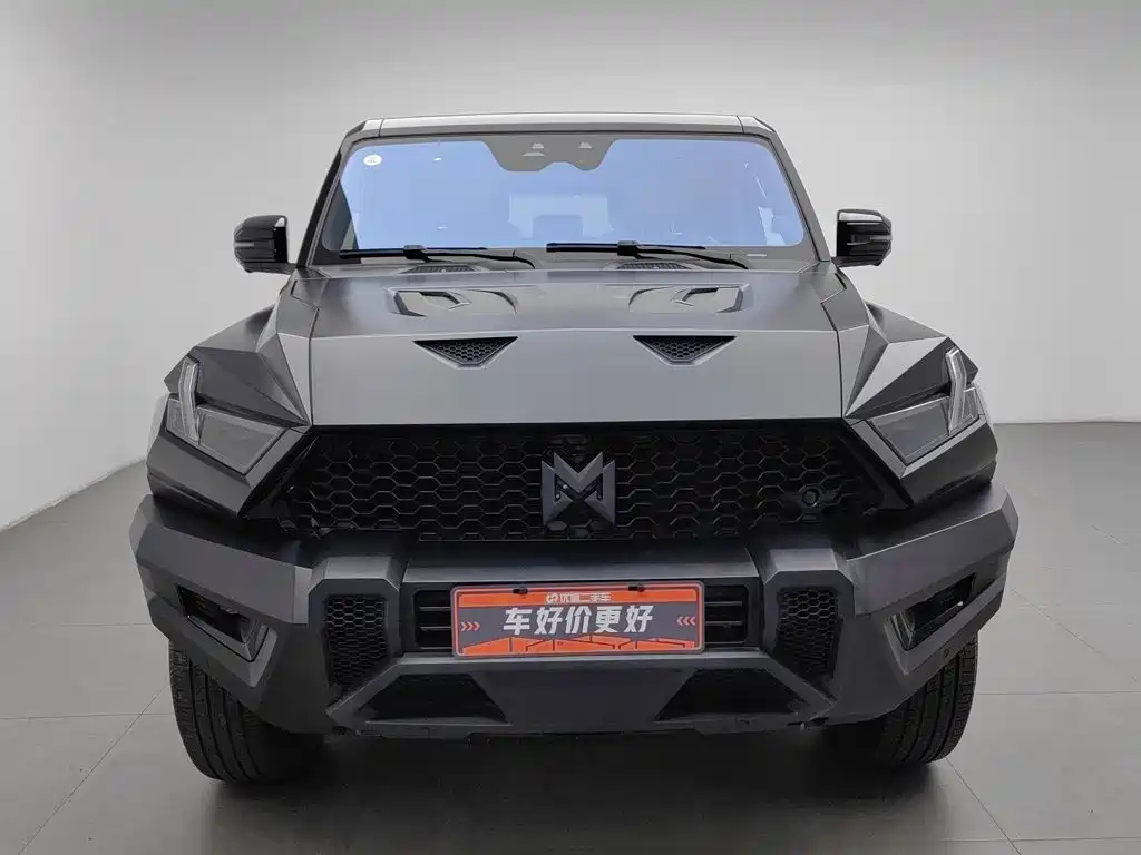 Mengshi Mengshi 917 — миниатюра 3