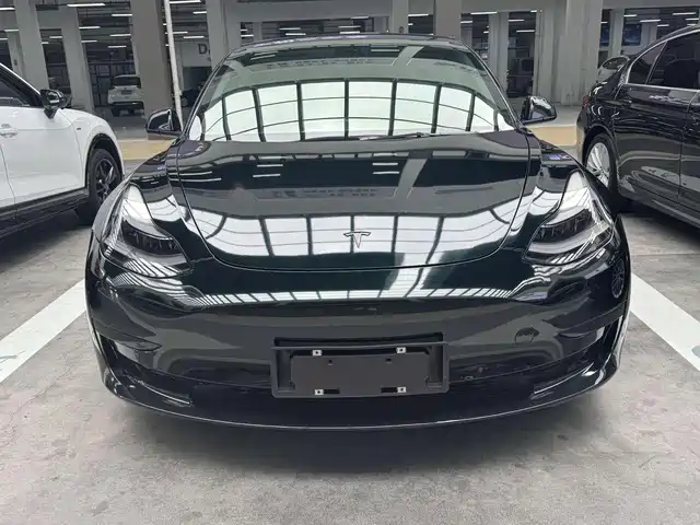 TESLA MODEL 3 2021