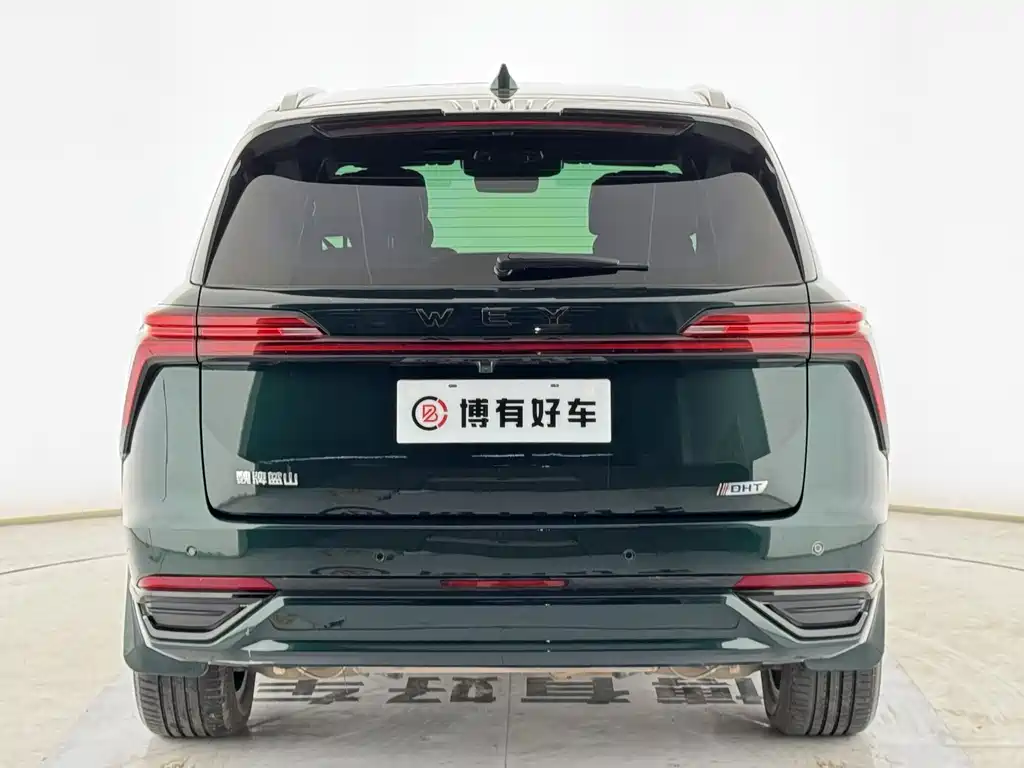 WEI PAI WEI BRAND BLUE MOUNTAIN