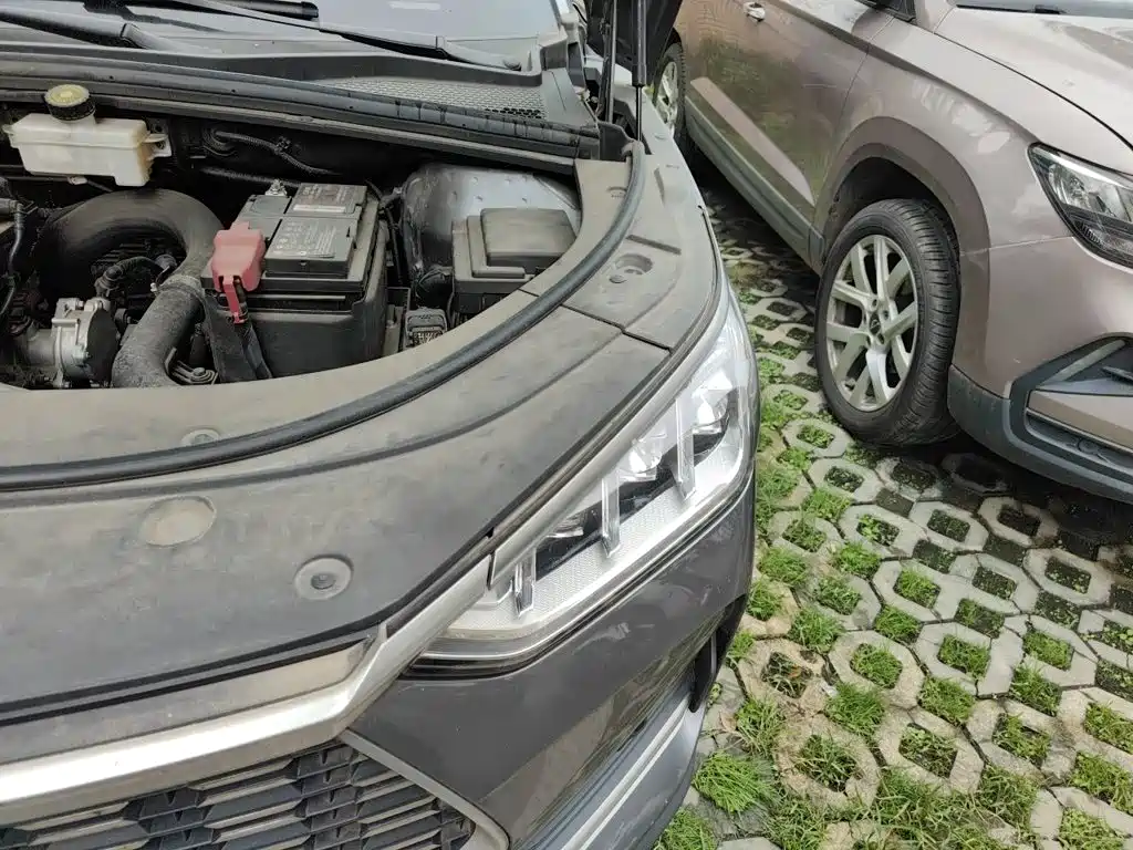 BYD PLUS — миниатюра 21