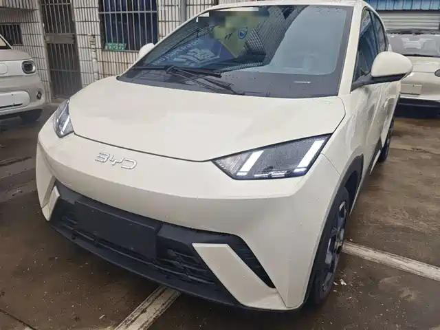 BYD SEAGULL 2024