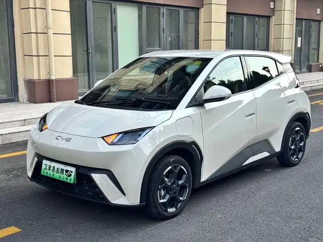 2024 BYD Seagull