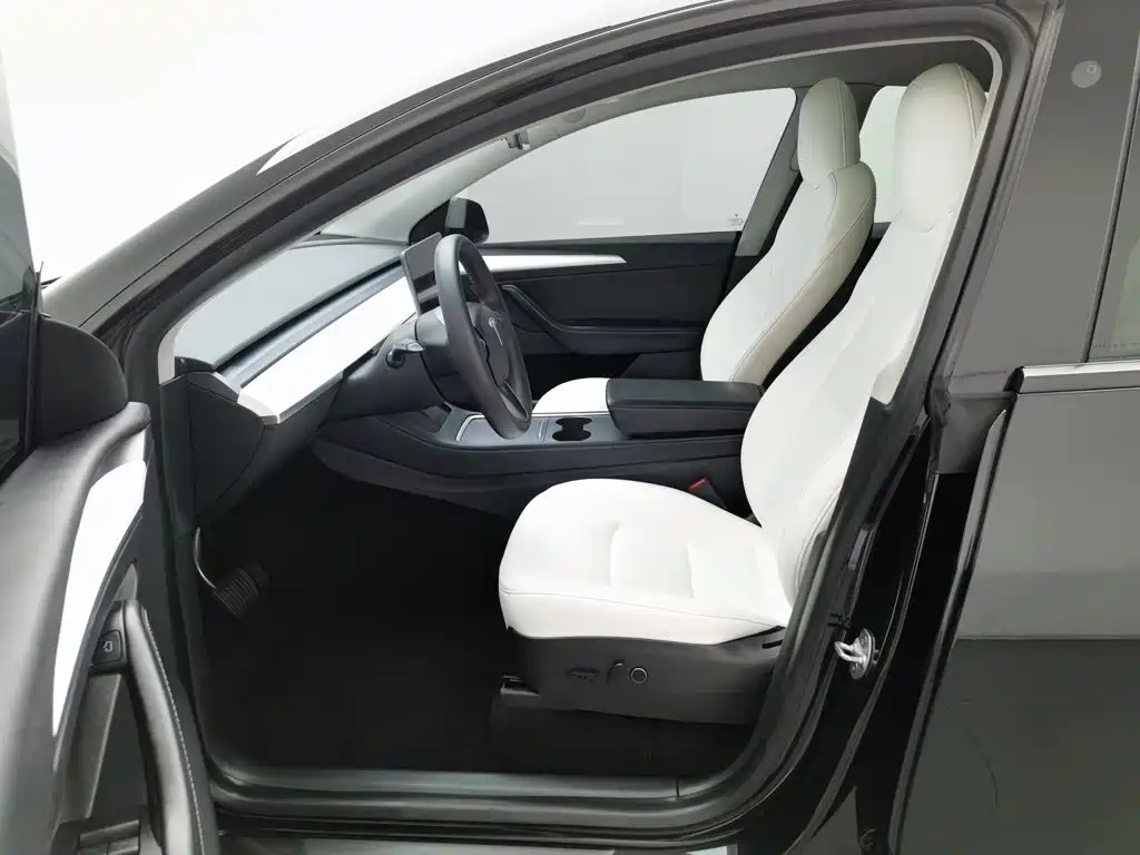 Tesla Model Y — миниатюра 10