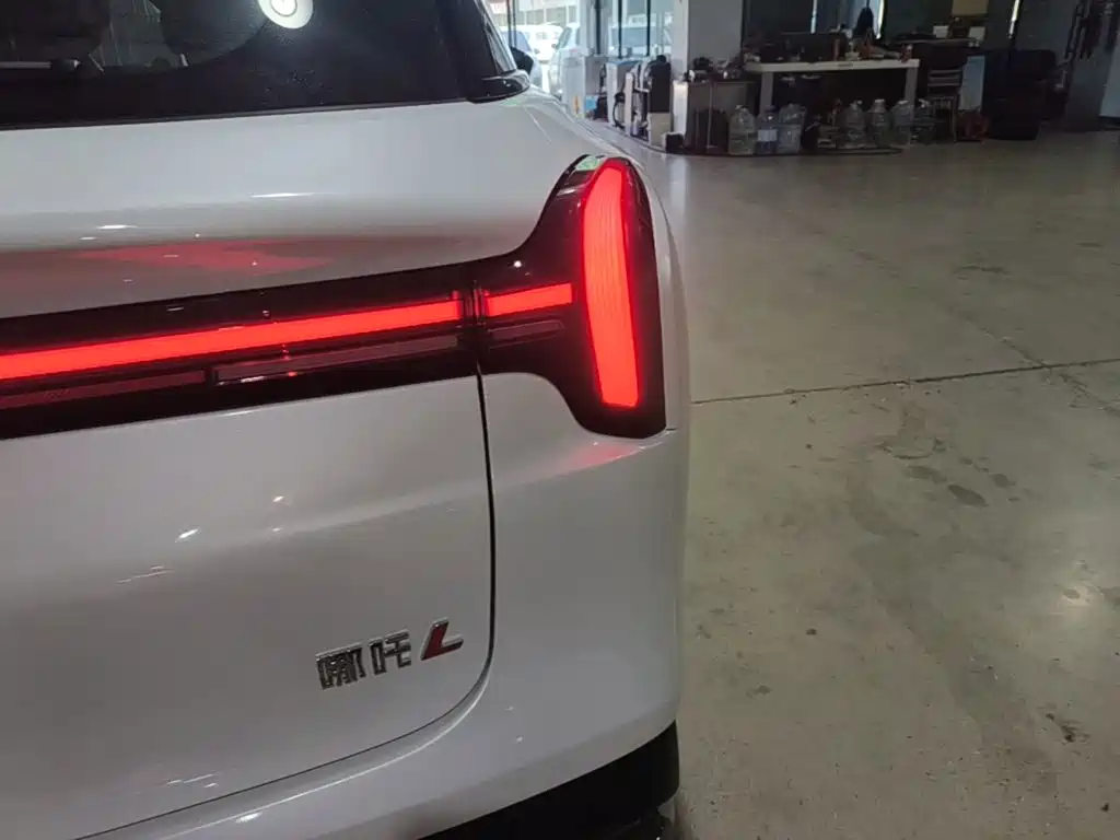 Neta L 2024 310