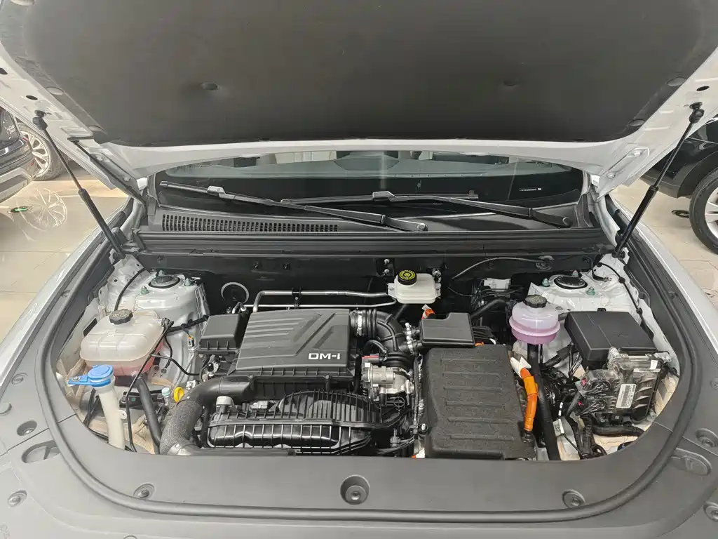 BYD Pro New Energy - фото 15