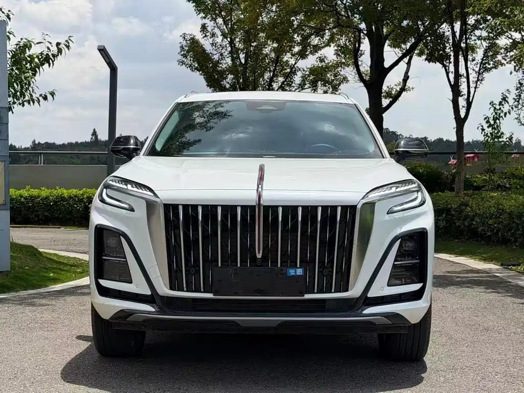Hongqi Hongqi HS3 PHEV — миниатюра 2