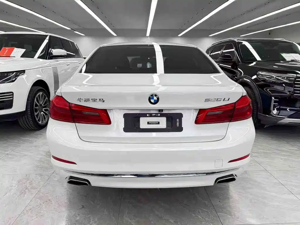 BMW 5 Series 5 2018 525Li Luxury