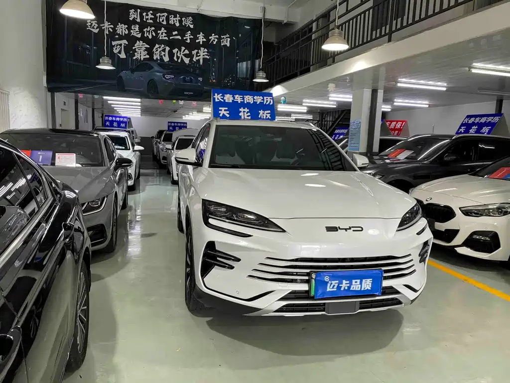 BYD PLUS New Energy — миниатюра 3