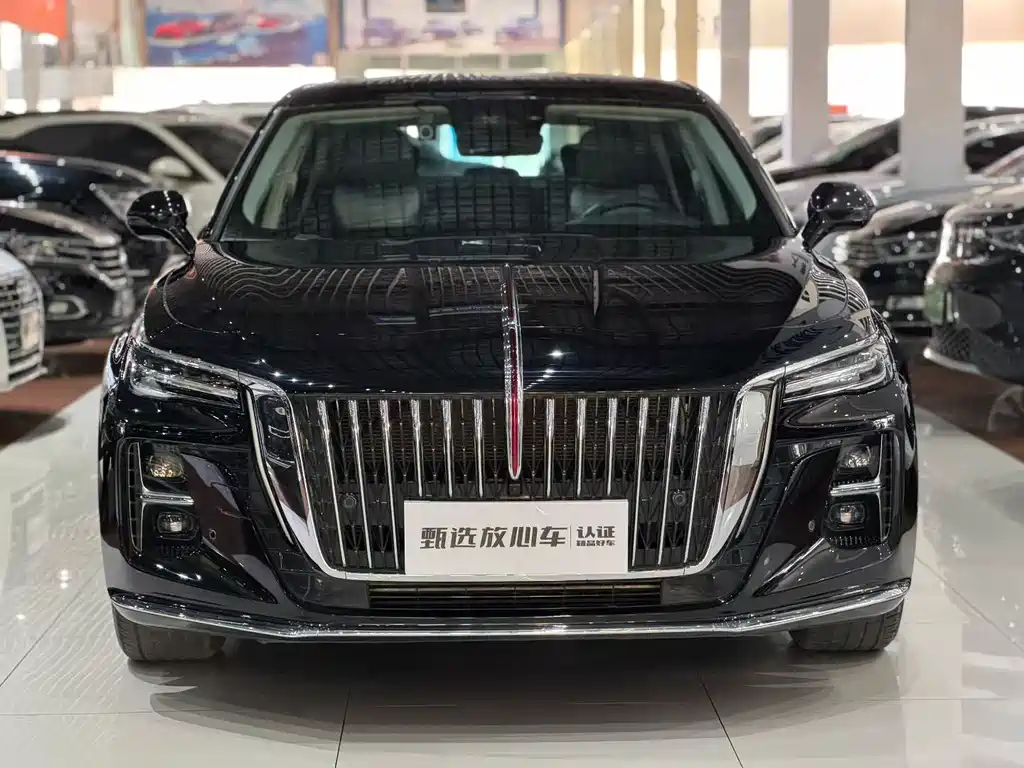 Hongqi H5 2023 2.0T AT