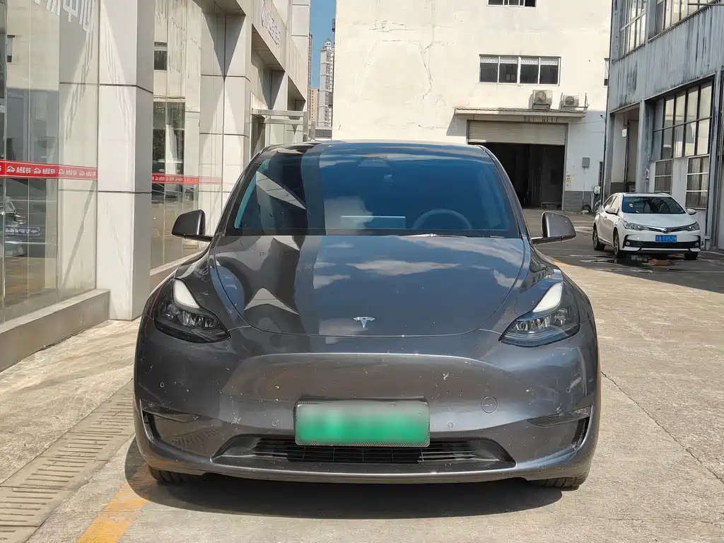 Tesla Model Y — миниатюра 2