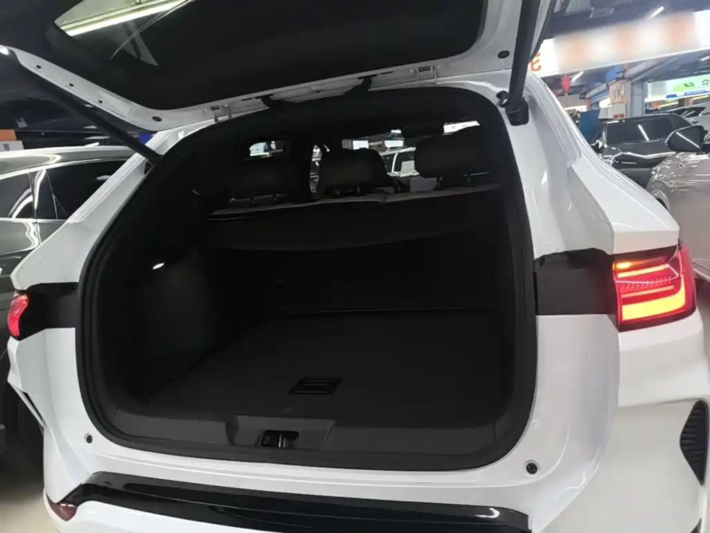 BYD PLUS New Energy — миниатюра 19
