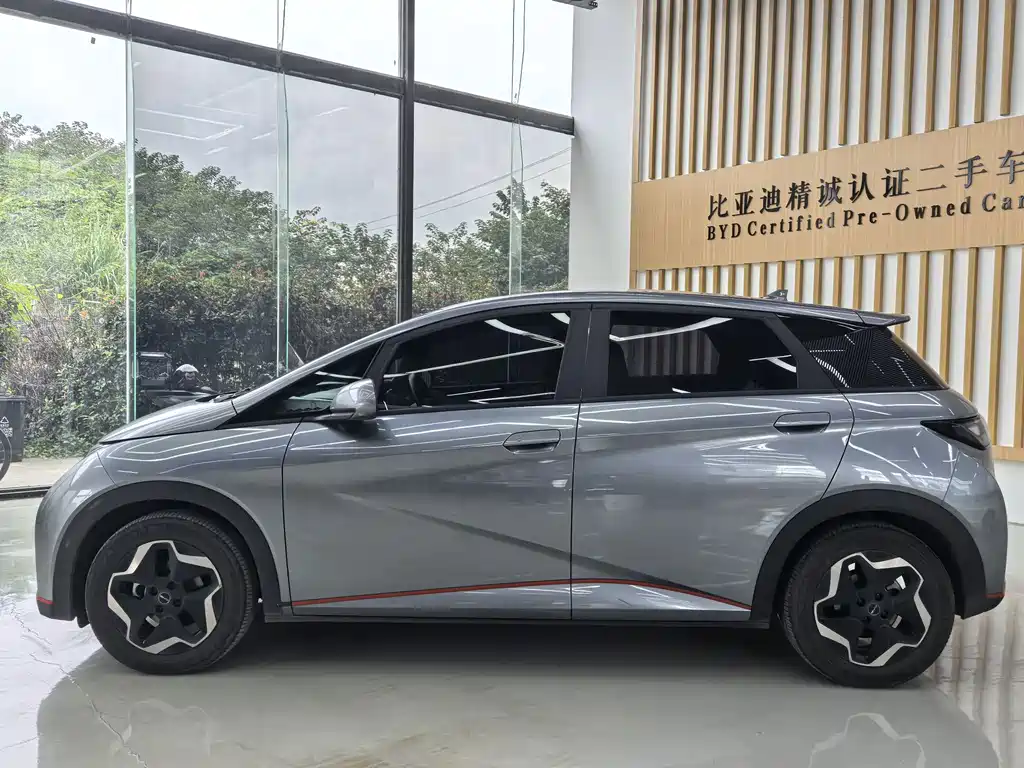 BYD Dolphin — миниатюра 3