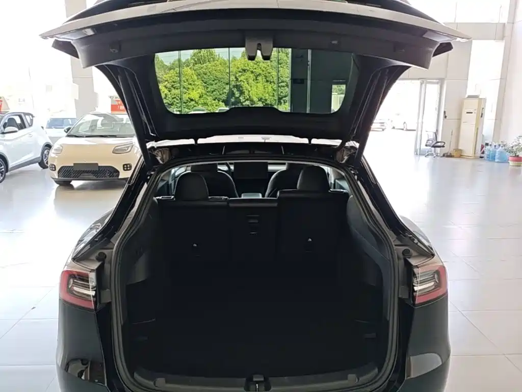 Tesla Model Y — миниатюра 19