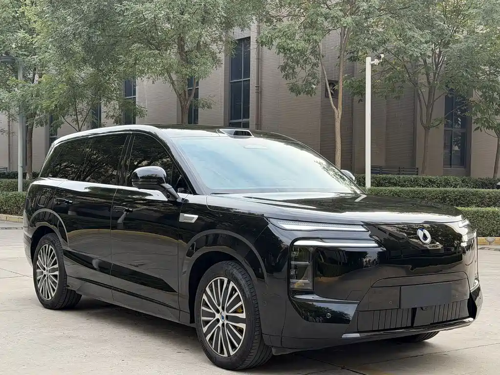 Denza Denza N8L — миниатюра 4