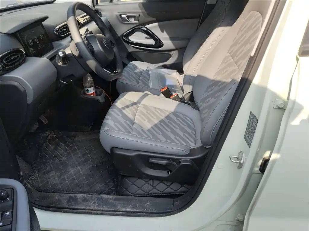 Leapmotor T03 2025 310