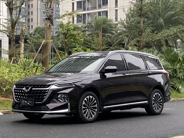 WULING AUTOMOBILE WULING CAPGEMINI 2024