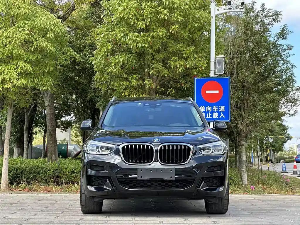 BMW X3 — миниатюра 2