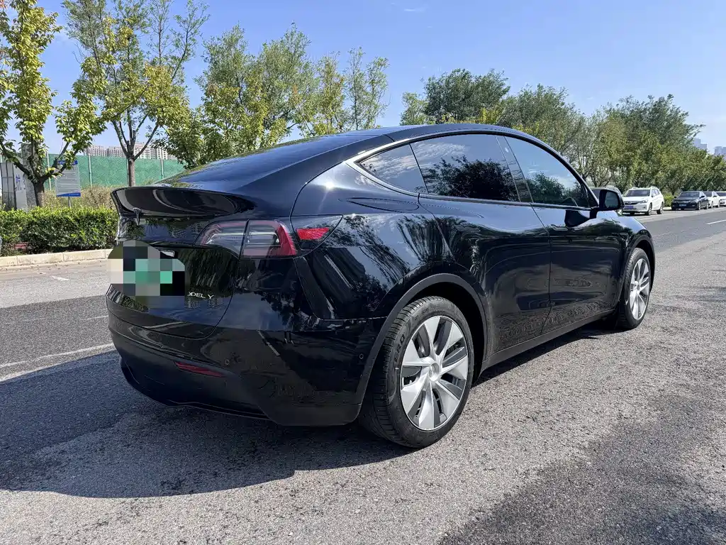 Tesla Model Y — миниатюра 6