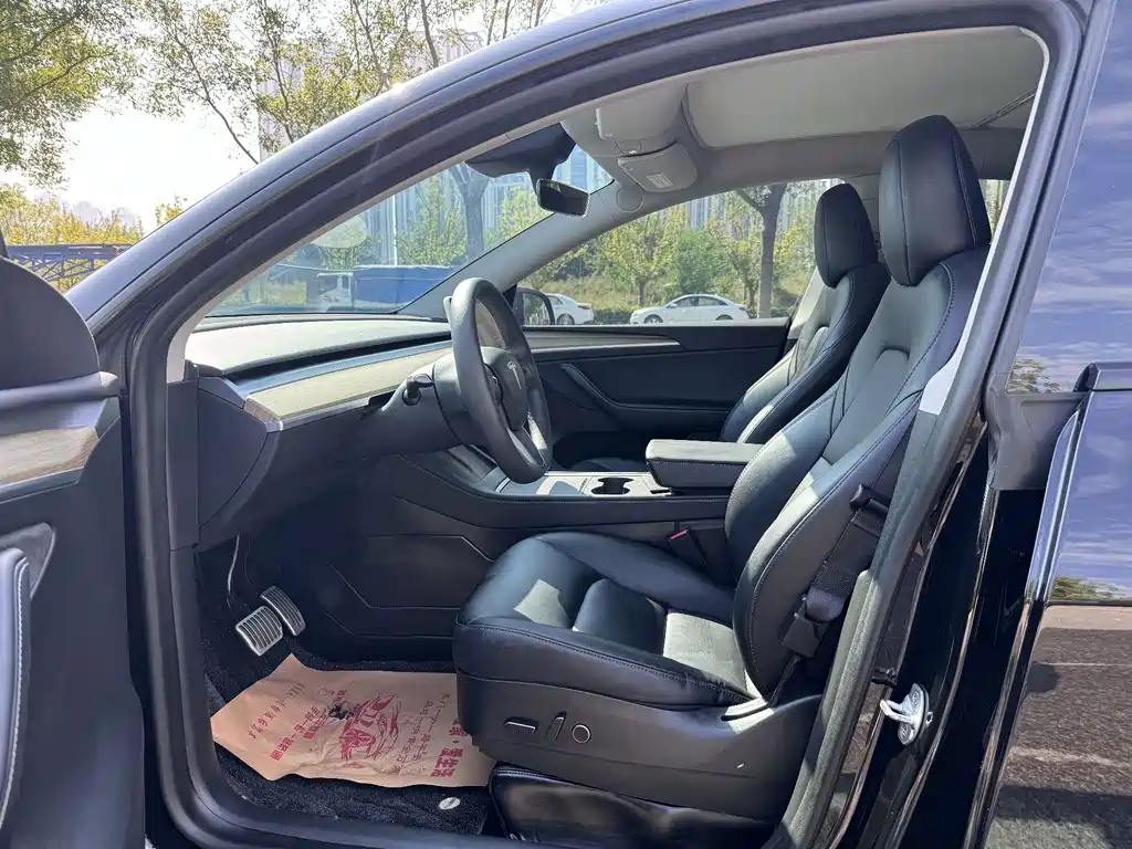 Tesla Model Y — миниатюра 8
