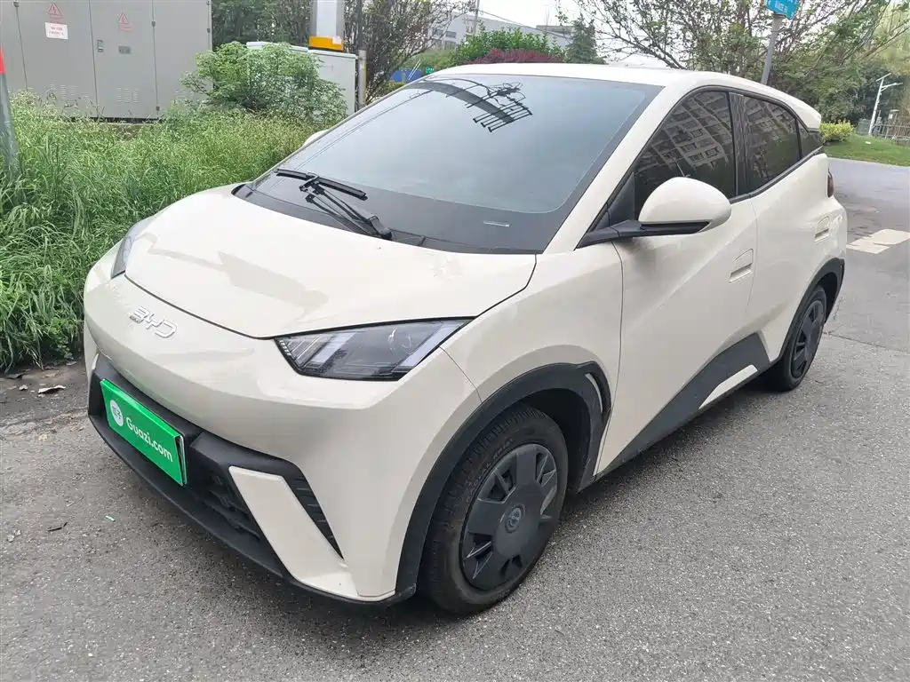 Byd Seagull 2024