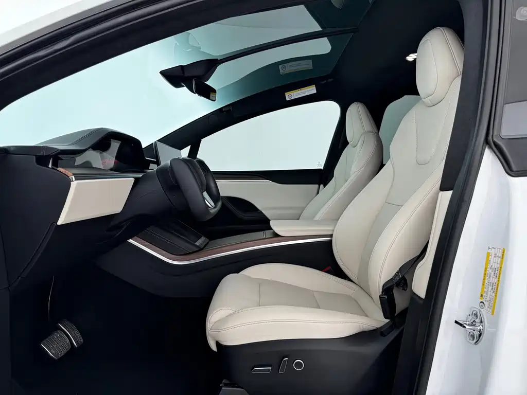 Tesla Model X — миниатюра 6