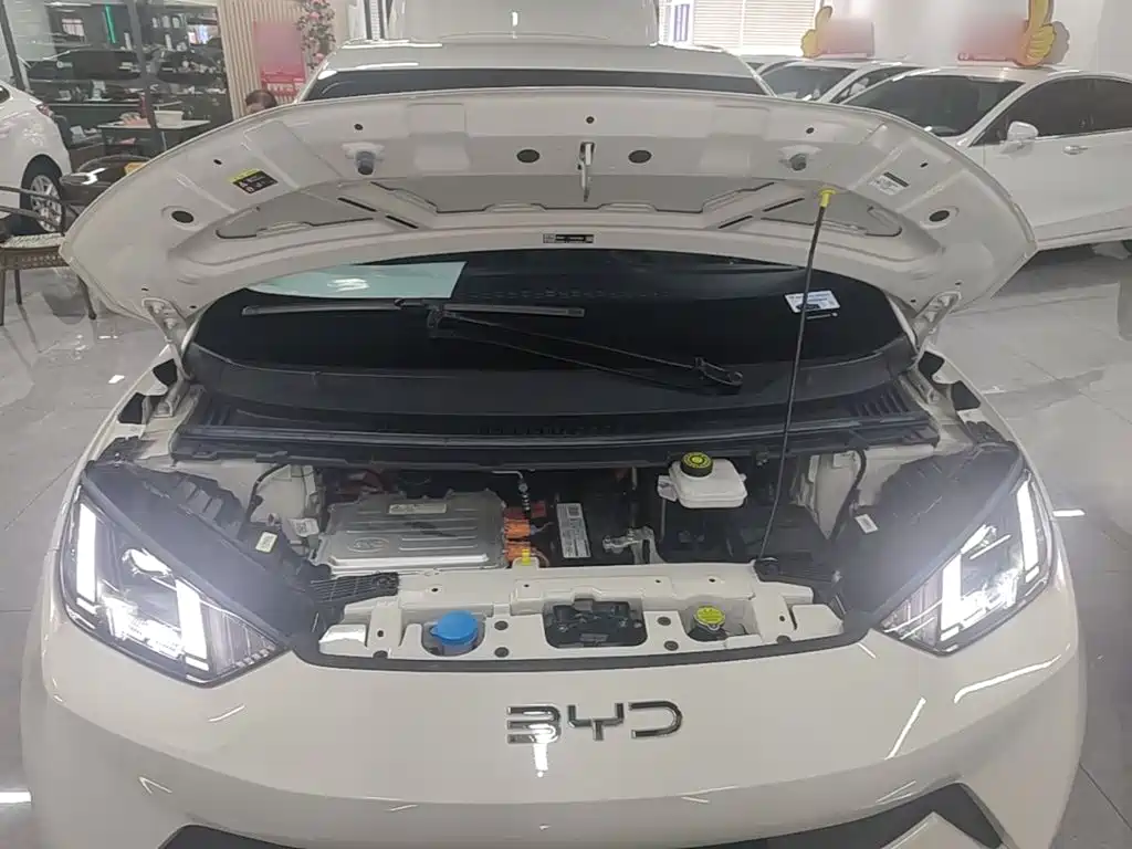 BYD Seagull — миниатюра 20