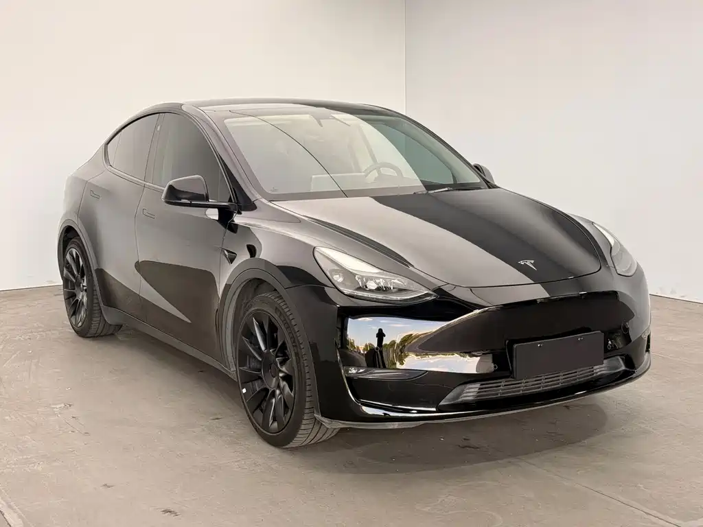 Tesla Model Y — миниатюра 3