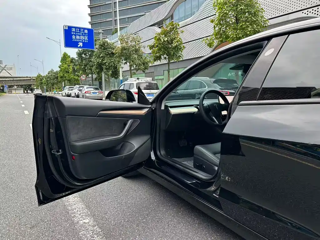 Tesla Model 3 — миниатюра 6
