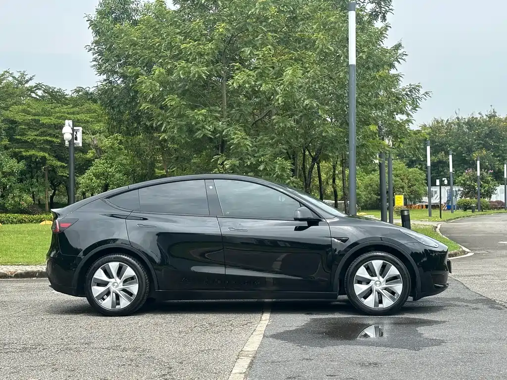 Tesla Model Y — миниатюра 4