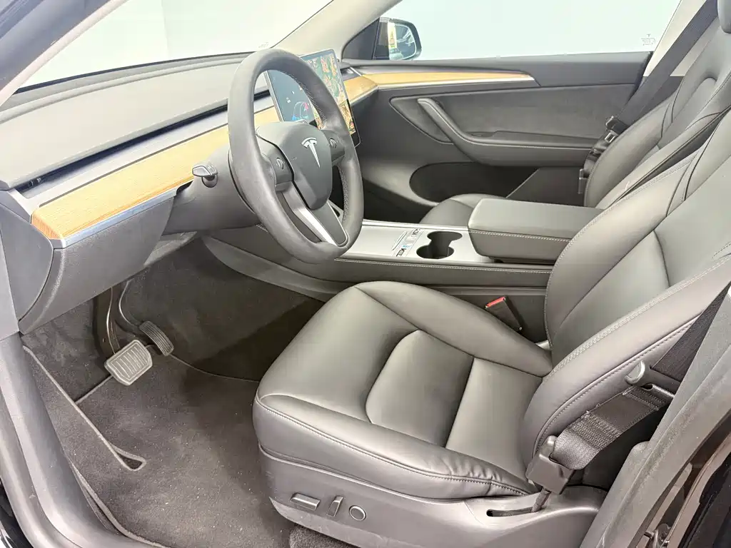 Tesla Model Y — миниатюра 8