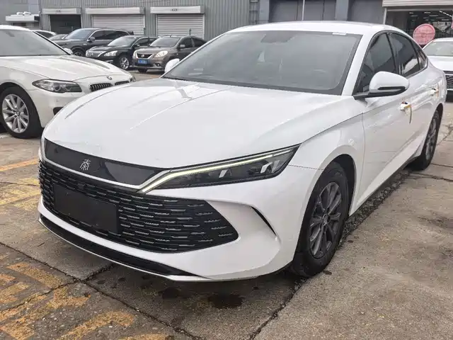 BYD QIN L 2024