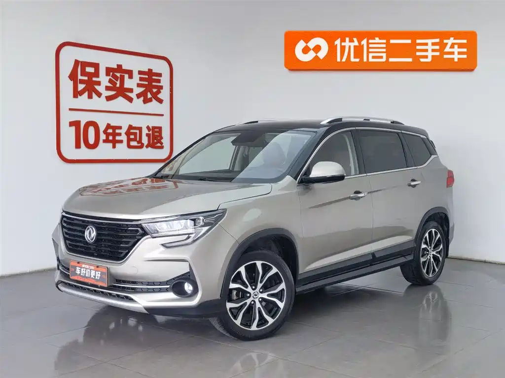 Fengxing Fengxing T5 2020