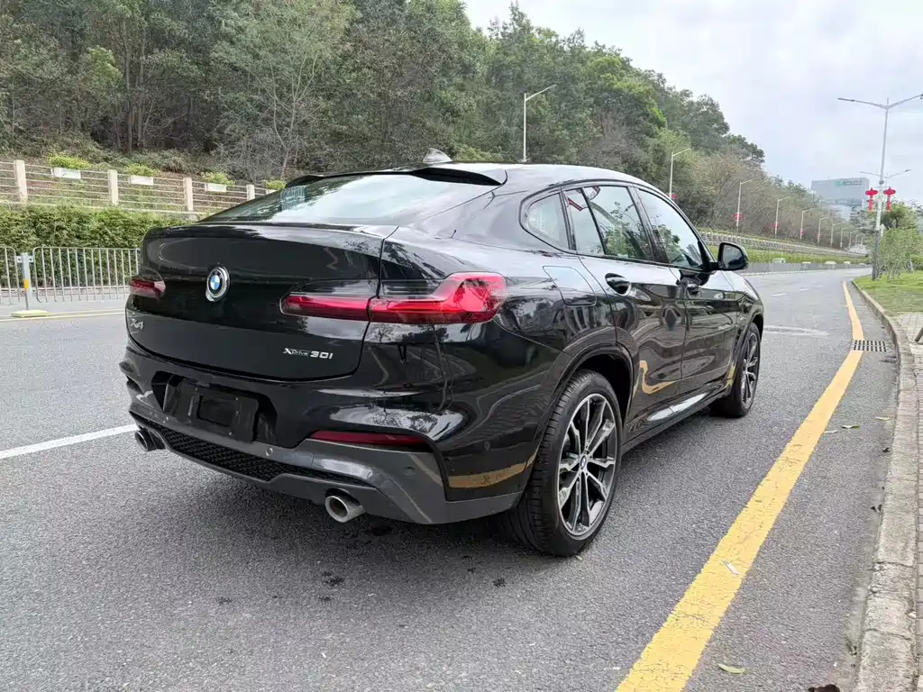 BMW X4 2020 xDrive30i M Sport