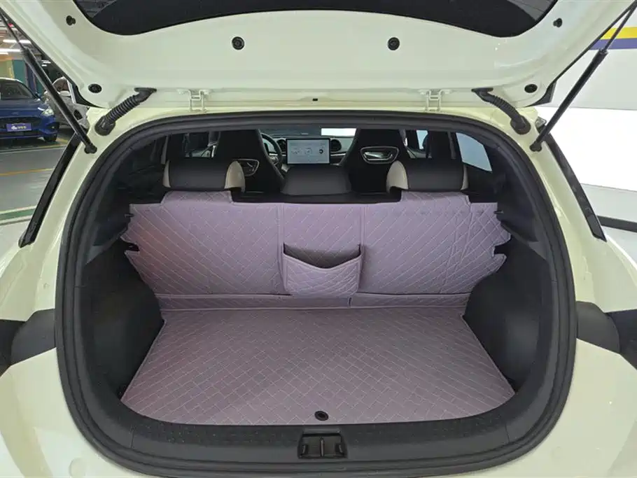 BYD Dolphin 2025 420km Freedom