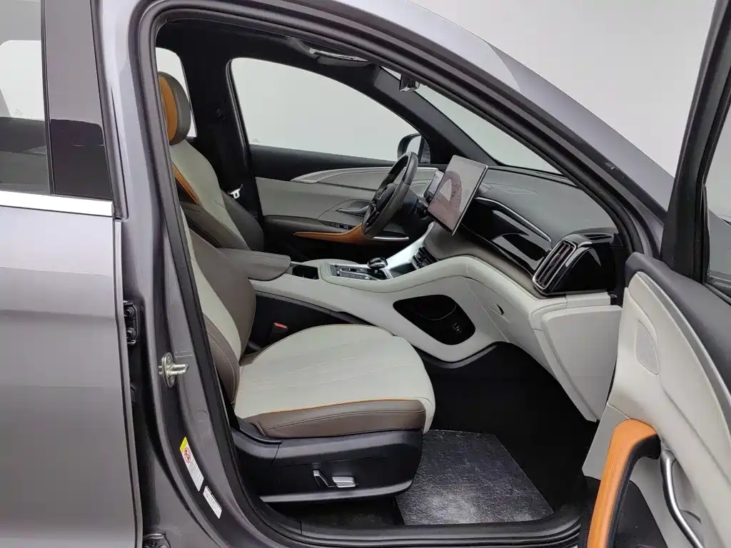 BYD Pro New Energy — миниатюра 23
