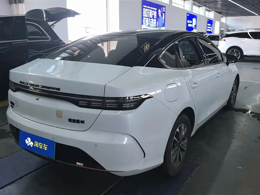 BYD Destroyer 05 2024 DM-i 55KM Luxury