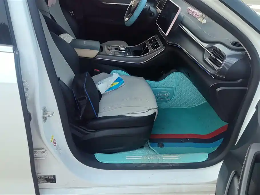 BYD Destroyer 05 2024 DM-i 55KM Luxury