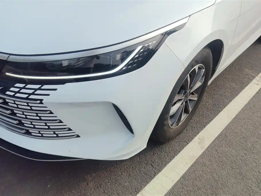 BYD Destroyer 05 2024 DM-i 55KM Luxury