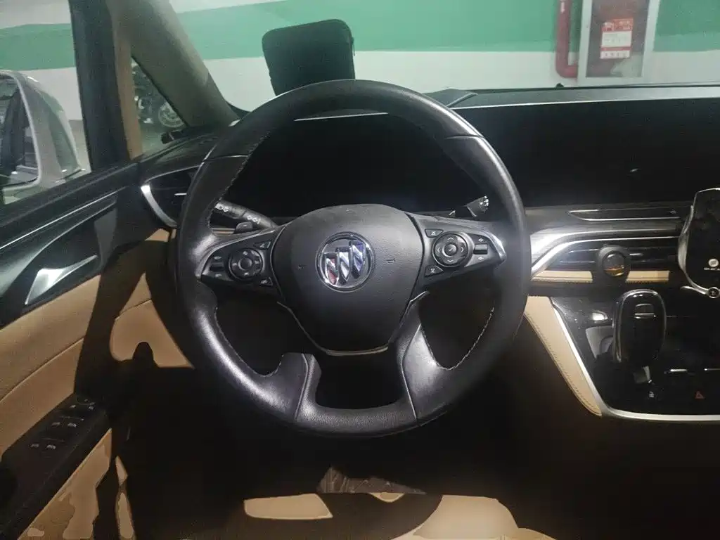 Buick GL8 — миниатюра 11