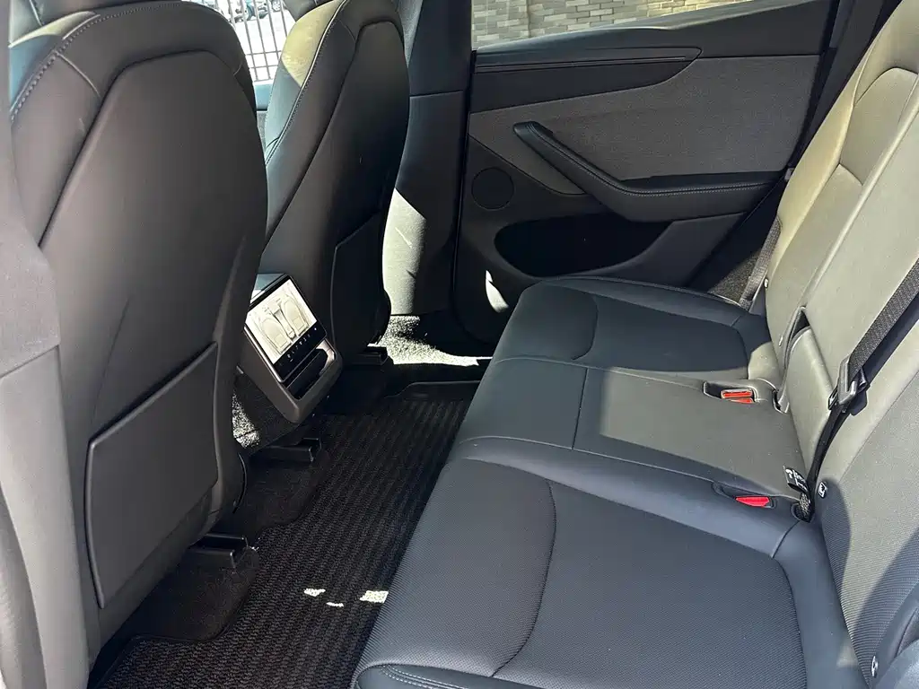 Tesla Model Y — миниатюра 9