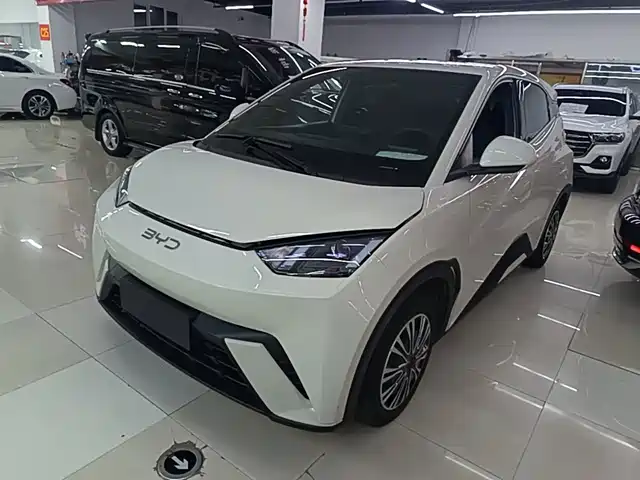 2024 BYD Seagull