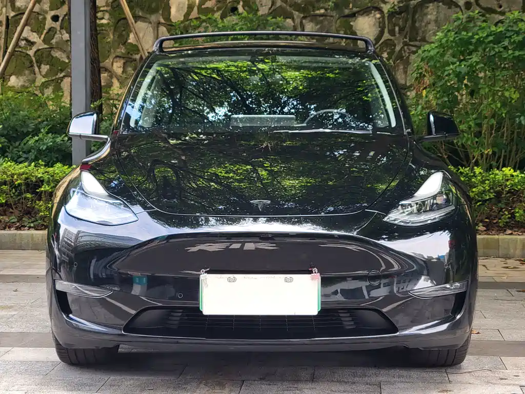 Tesla Model Y — миниатюра 2